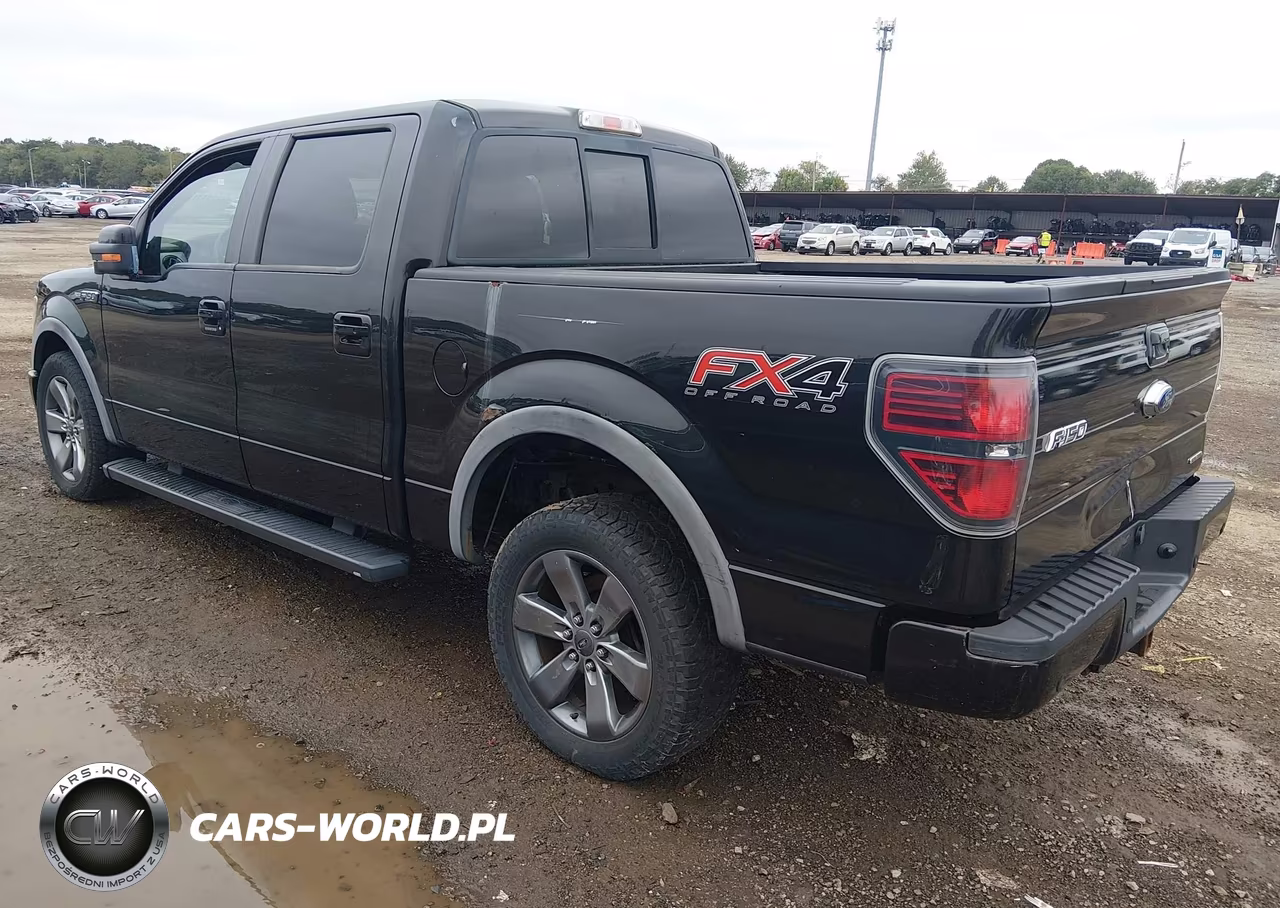 2014 Ford F-150 Fx4 VIN:1FTFW1EF5EKF84919 - 3