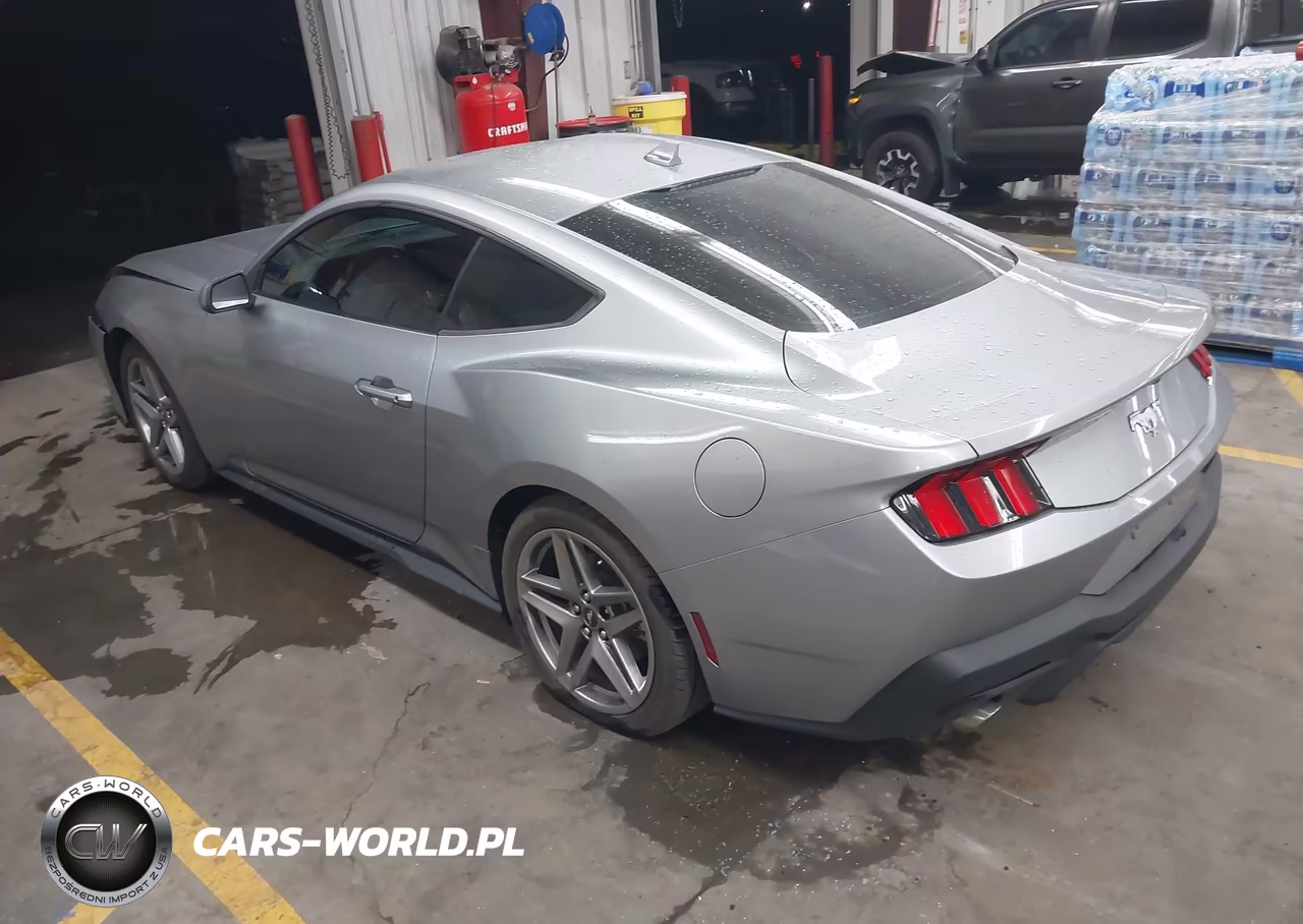2026 Ford Mustang Ecoboost Fastback VIN:1FA6P8TH1T5109649 - 3