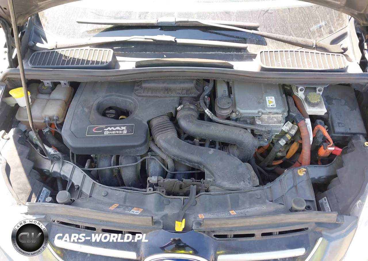 2015 Ford C-Max Energi Sel VIN:1FADP5CU1FL110819 - 10