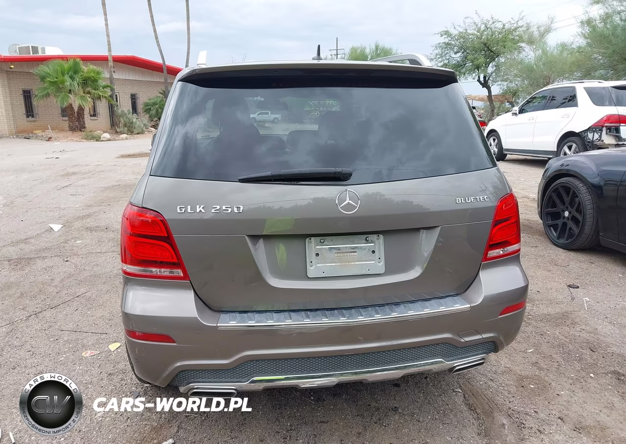 2015 Mercedes-Benz Glk 250 Bluetec 4Matic VIN:WDCGG0EB7FG385698 - 16