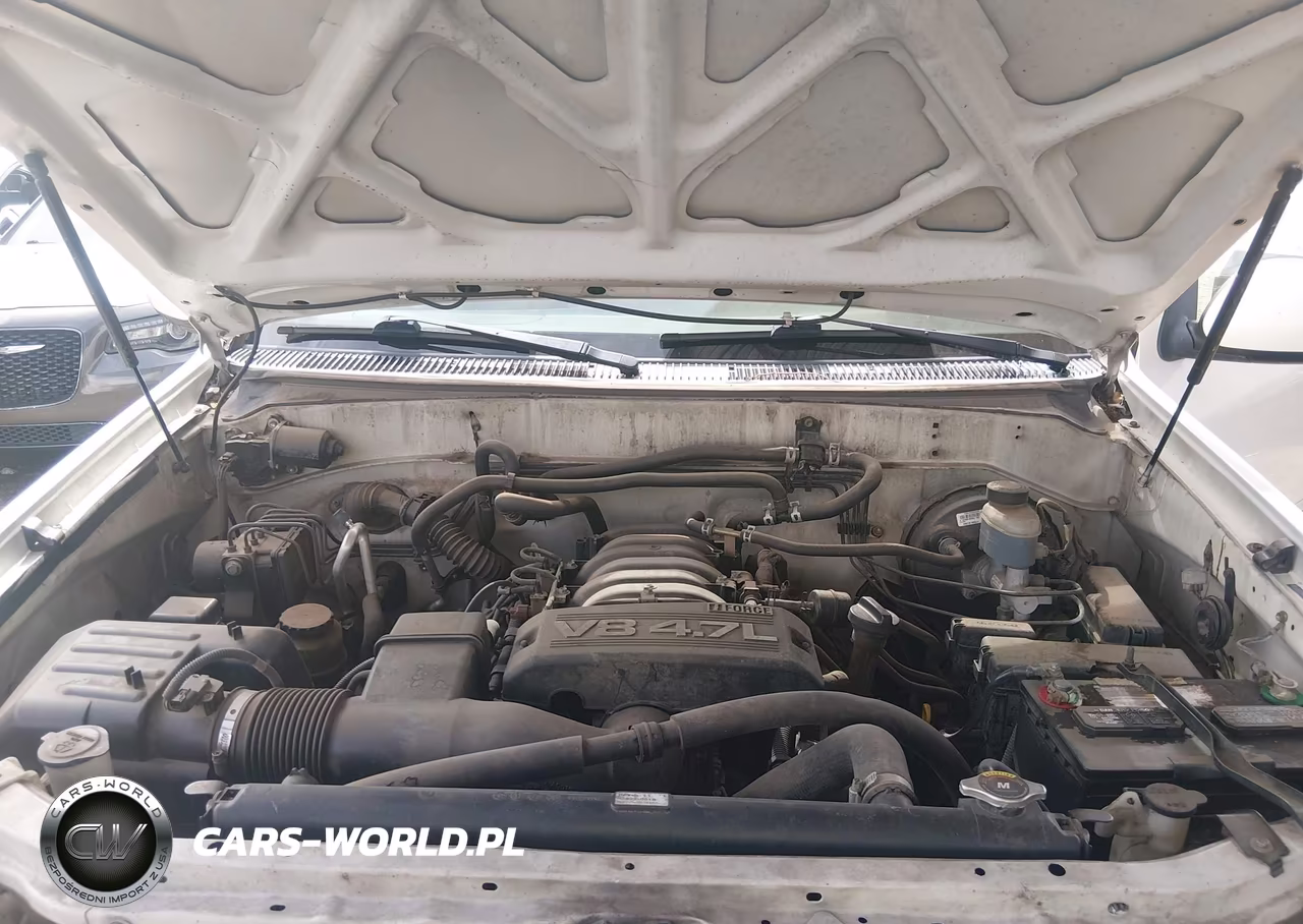 2006 Toyota Sequoia Sr5 V8 VIN:5TDZT34A16S275577 - 10