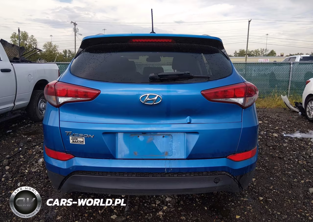 2016 Hyundai Tucson Se VIN:KM8J33A4XGU188166 - 16