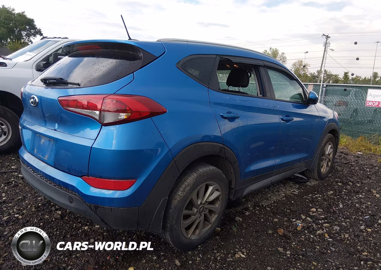 2016 Hyundai Tucson Se VIN:KM8J33A4XGU188166 - 4
