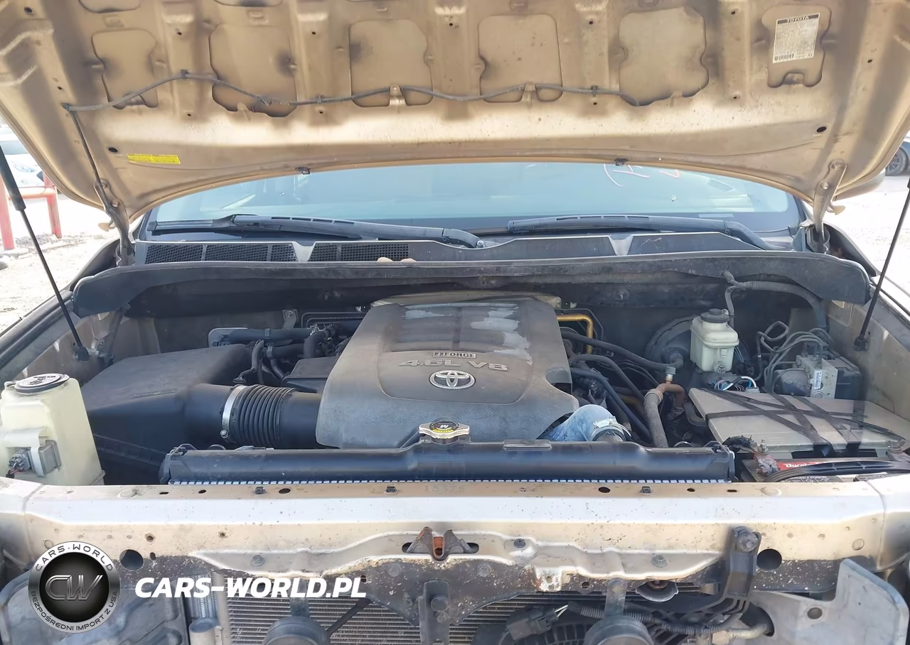 2010 Toyota Sequoia Sr5 4.6L V8 VIN:5TDZM5G13AS002427 - 10