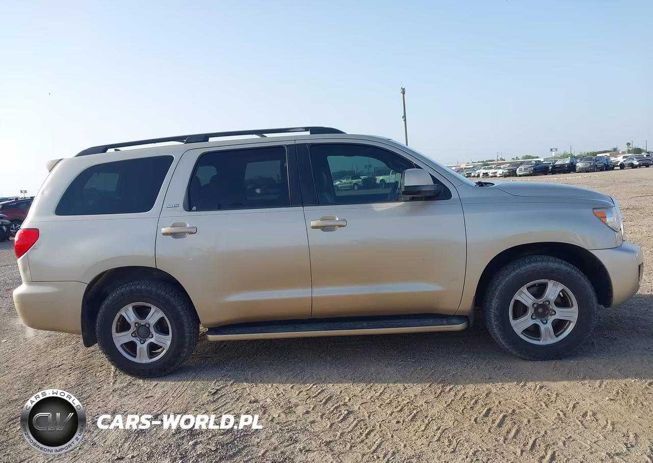 2010 Toyota Sequoia Sr5 4.6L V8 VIN:5TDZM5G13AS002427 - 13