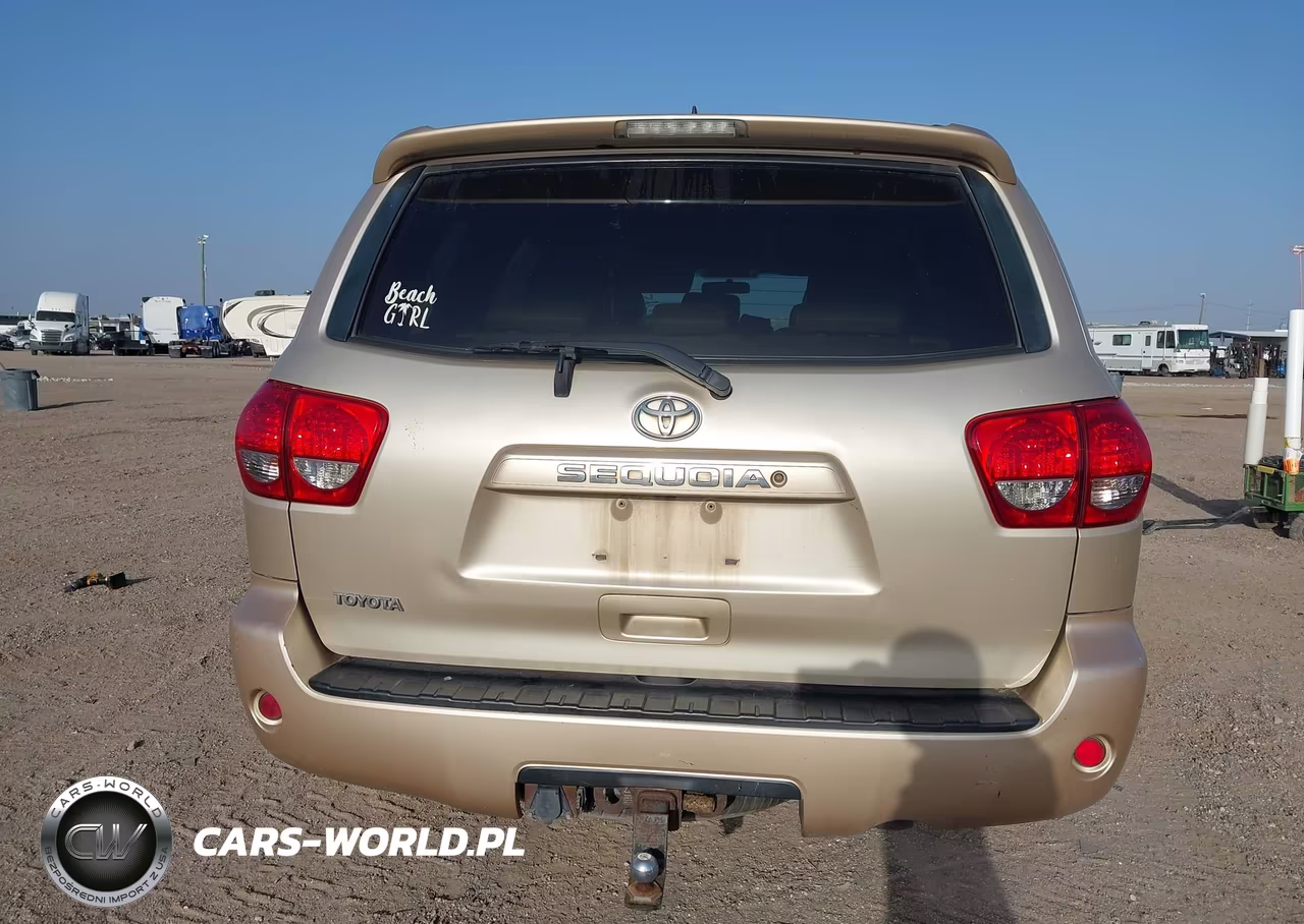 2010 Toyota Sequoia Sr5 4.6L V8 VIN:5TDZM5G13AS002427 - 16