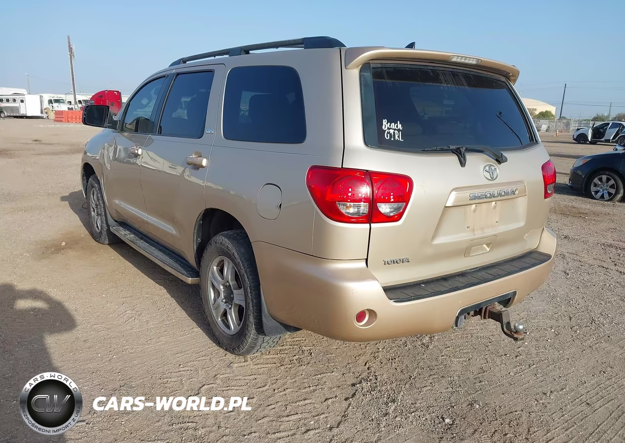 2010 Toyota Sequoia Sr5 4.6L V8 VIN:5TDZM5G13AS002427 - 3