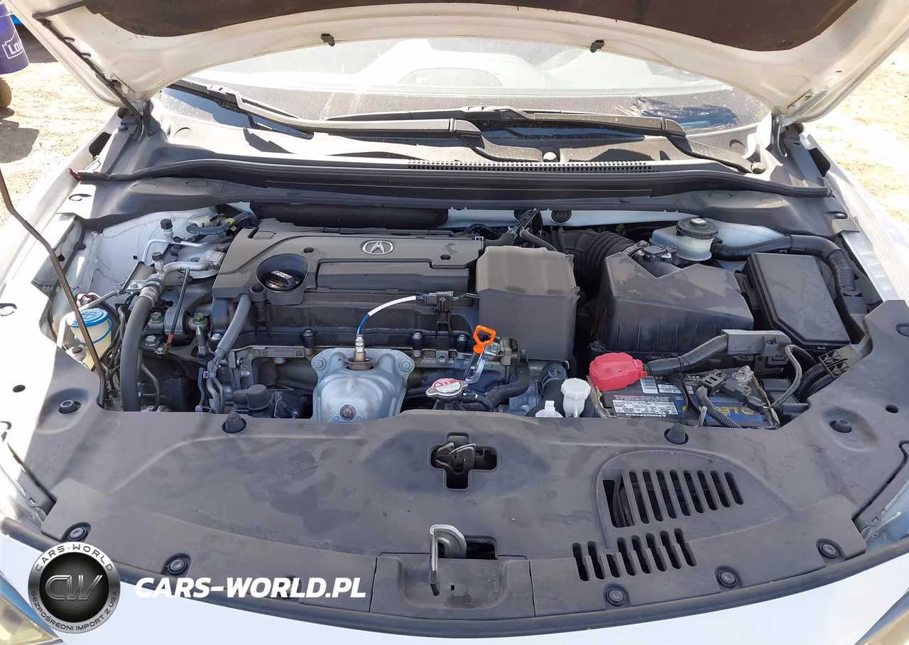 2019 Acura Ilx Premium A-Spec Packages-Technology A-Spec Packages VIN:19UDE2F8XKA001652 - 10