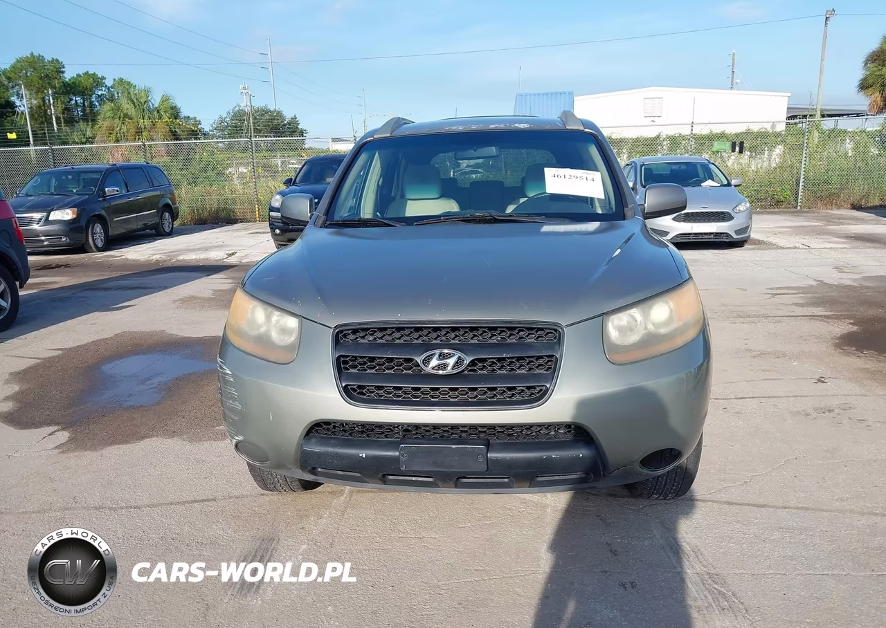 2007 Hyundai Santa Fe Gls VIN:5NMSG13DX7H091944 - 6