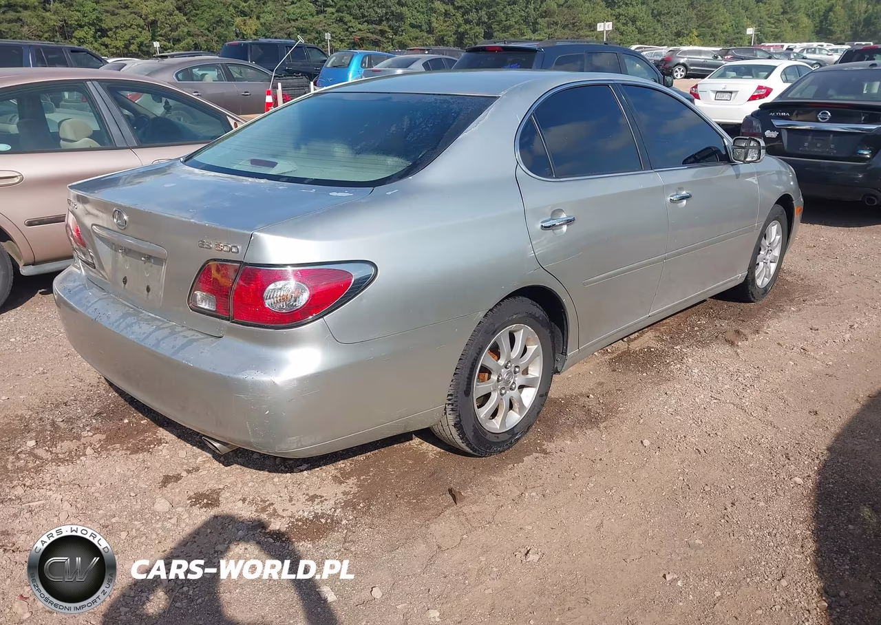 2002 Lexus Es 300 VIN:JTHBF30G325036355 - 4