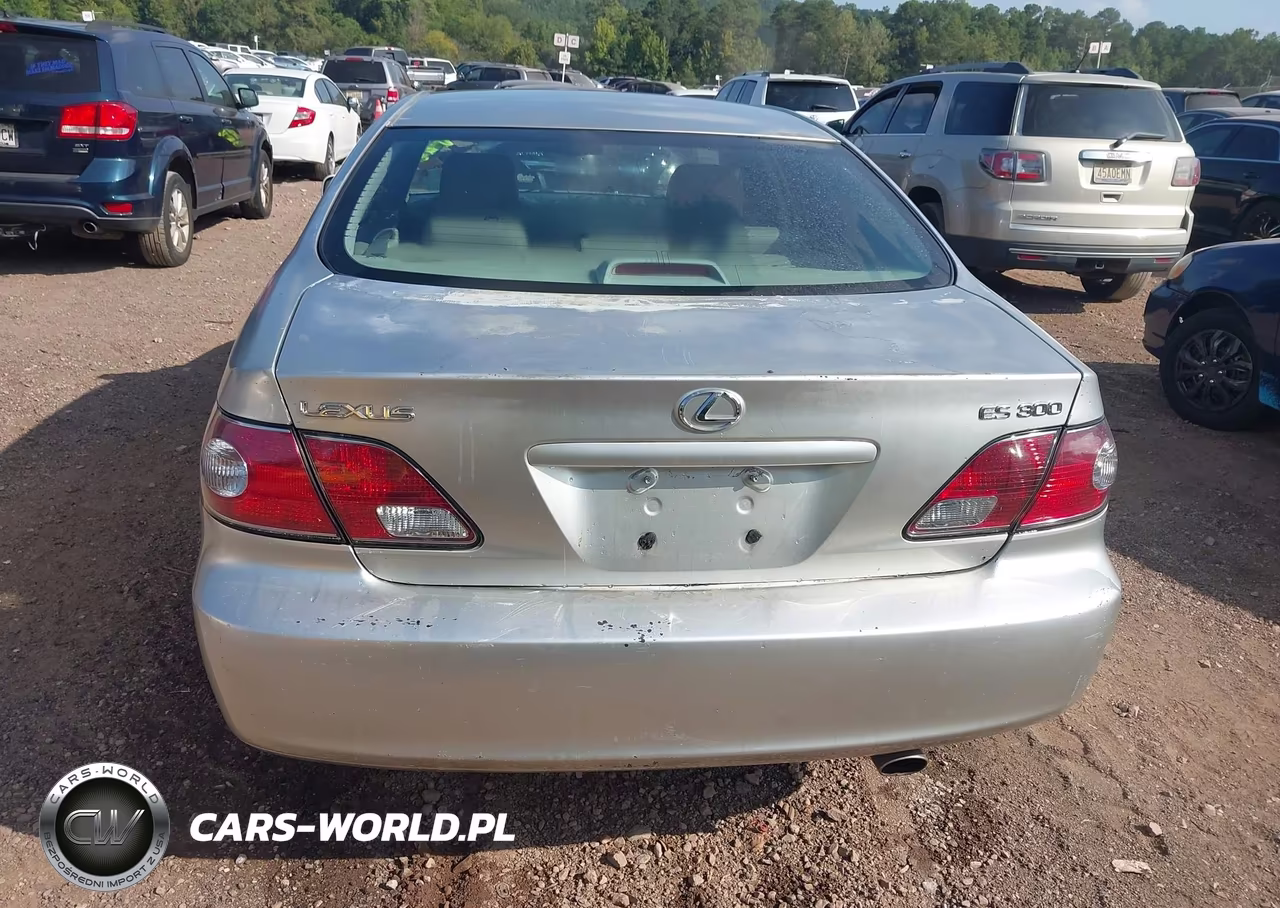 2002 Lexus Es 300 VIN:JTHBF30G325036355 - 6