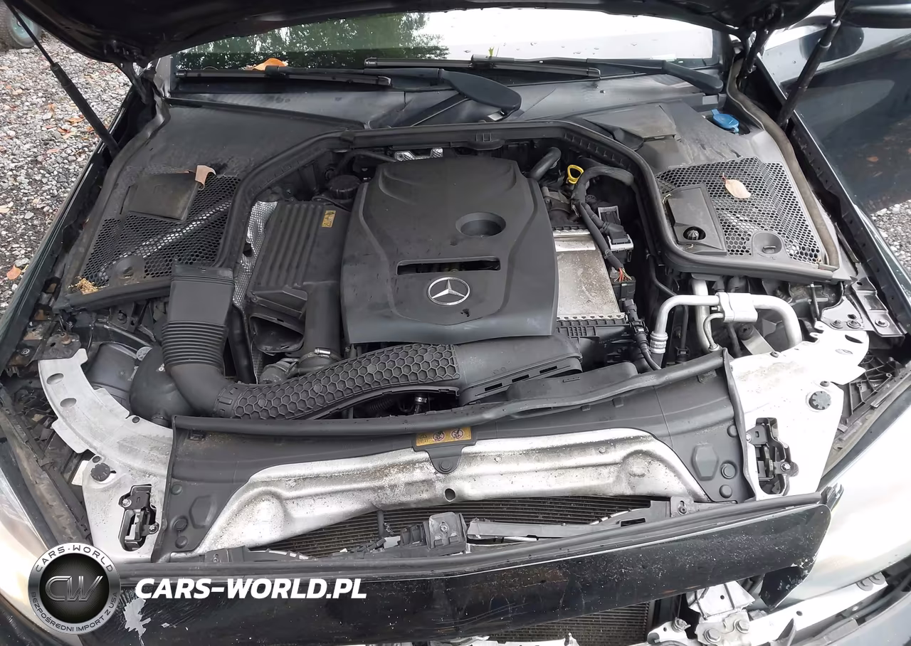 2016 Mercedes-Benz C 300 4Matic VIN:55SWF4KBXGU170391 - 10