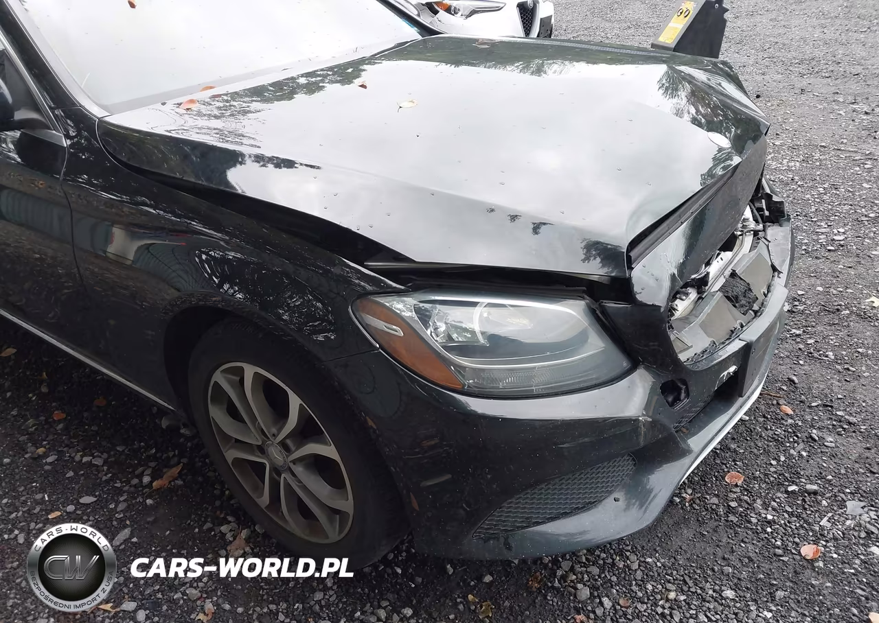 2016 Mercedes-Benz C 300 4Matic VIN:55SWF4KBXGU170391 - 18