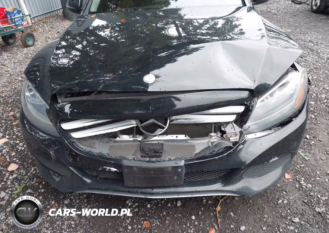 2016 Mercedes-Benz C 300 4Matic VIN:55SWF4KBXGU170391 - 6