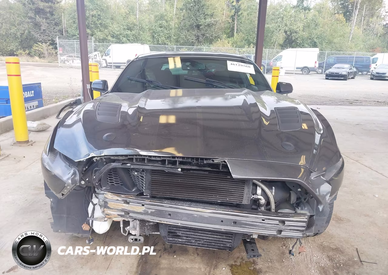 2017 Ford Mustang Gt VIN:1FA6P8CF2H5260067 - 13
