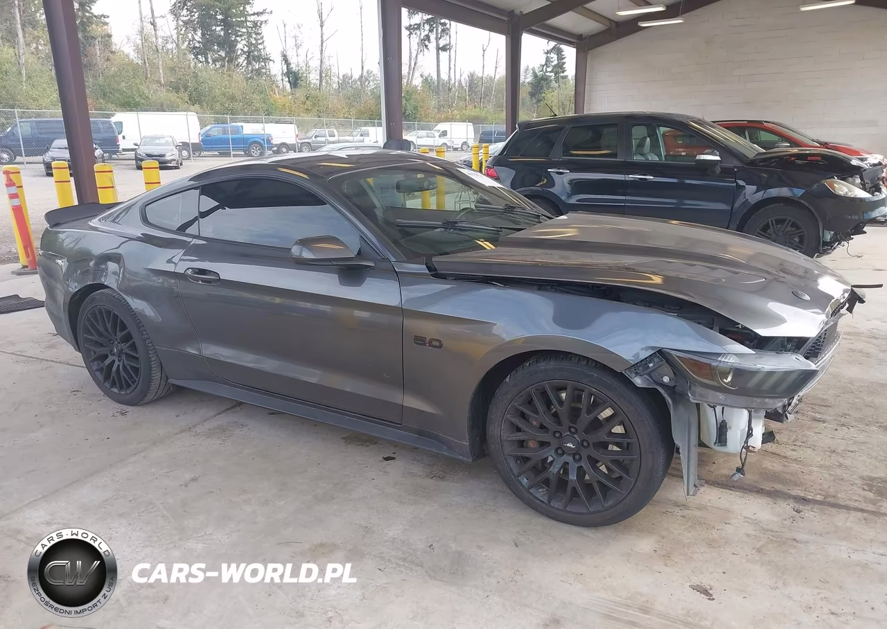 2017 Ford Mustang Gt VIN:1FA6P8CF2H5260067 - 14