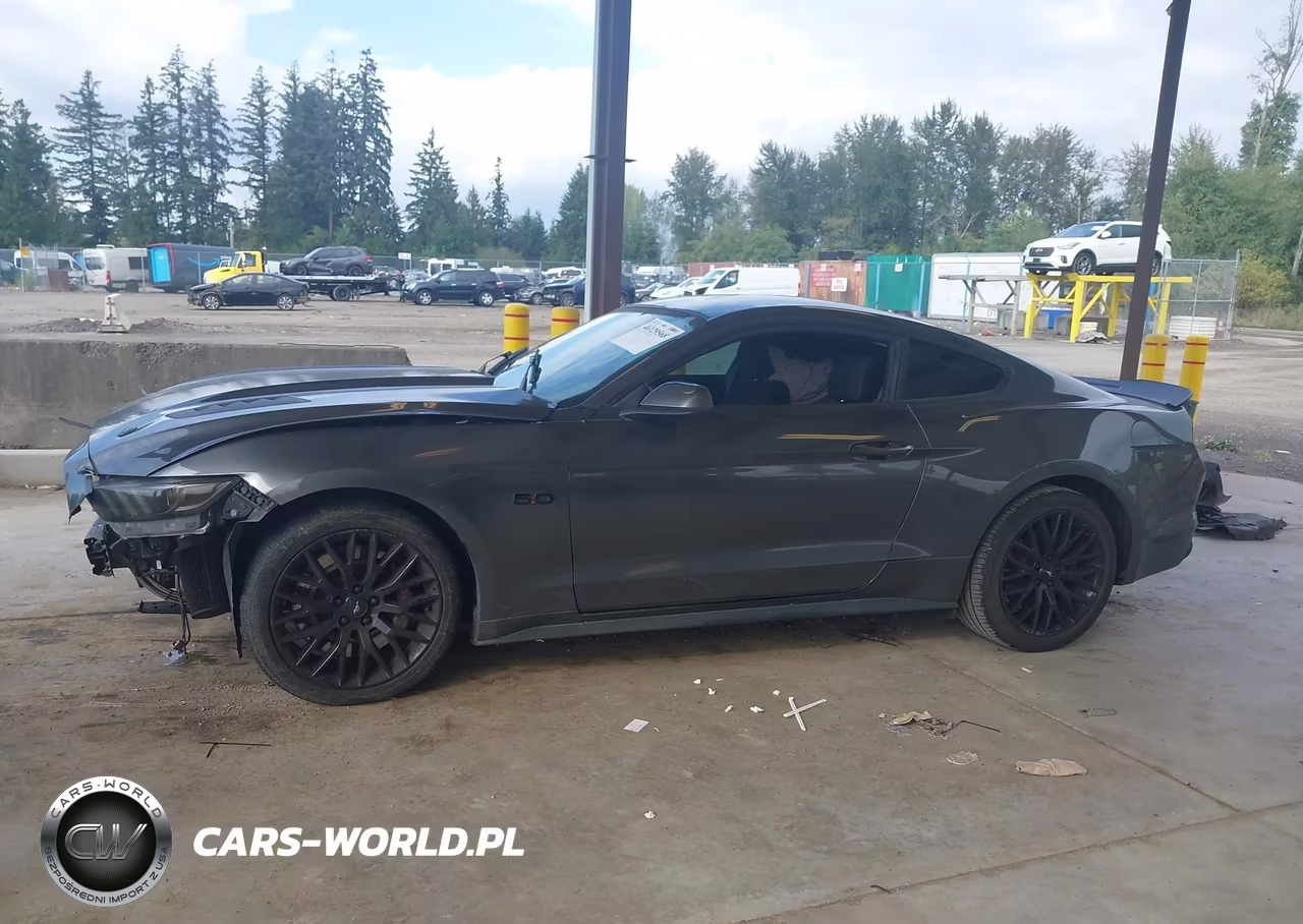 2017 Ford Mustang Gt VIN:1FA6P8CF2H5260067 - 15
