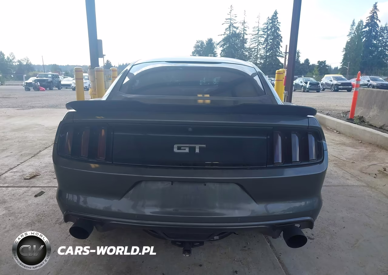 2017 Ford Mustang Gt VIN:1FA6P8CF2H5260067 - 17