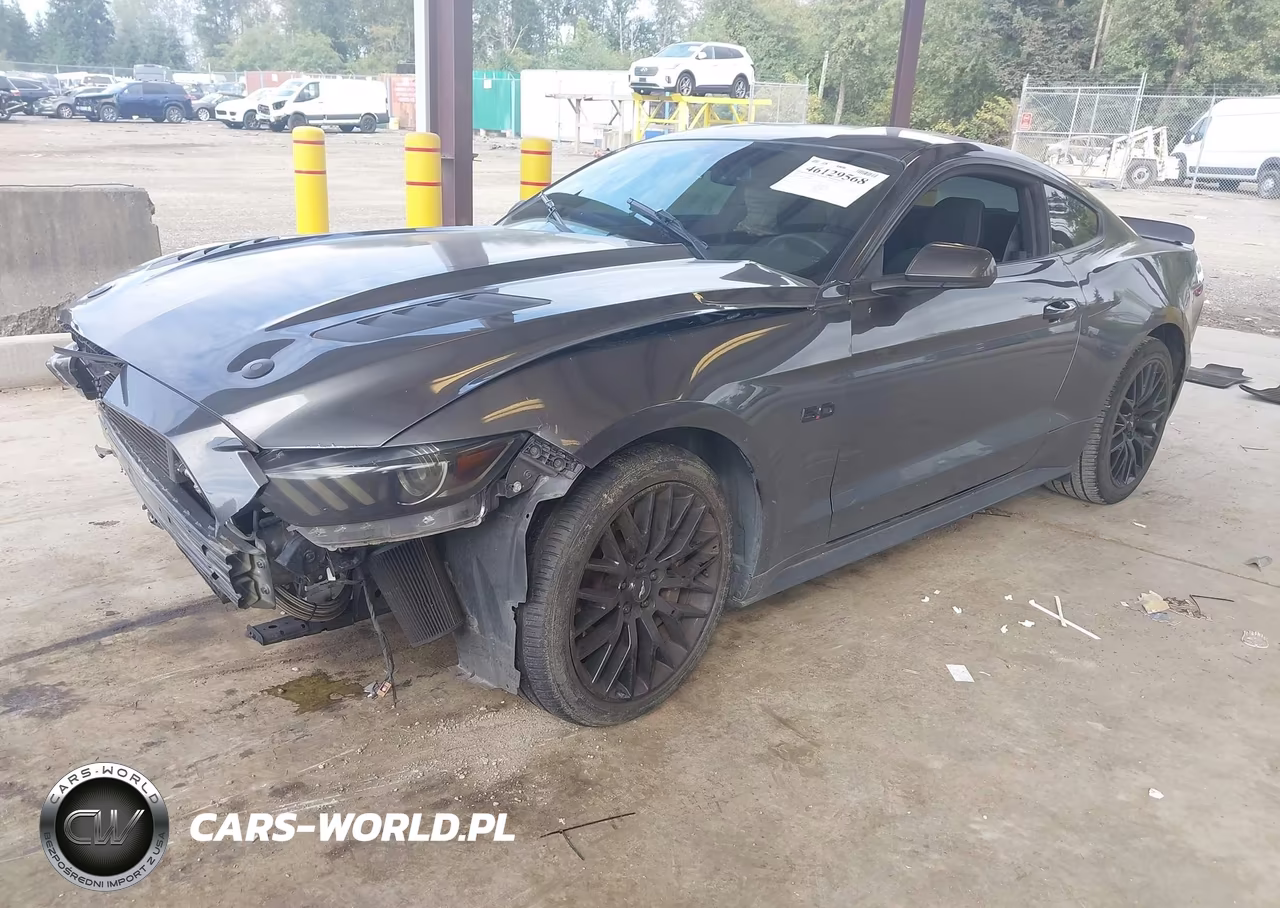 2017 Ford Mustang Gt VIN:1FA6P8CF2H5260067 - 2