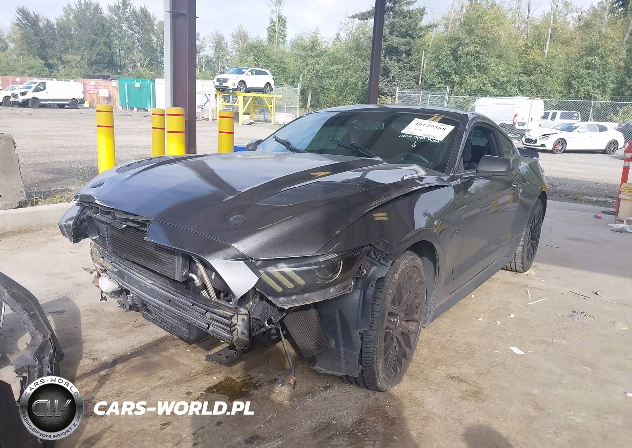 2017 Ford Mustang Gt VIN:1FA6P8CF2H5260067 - 6