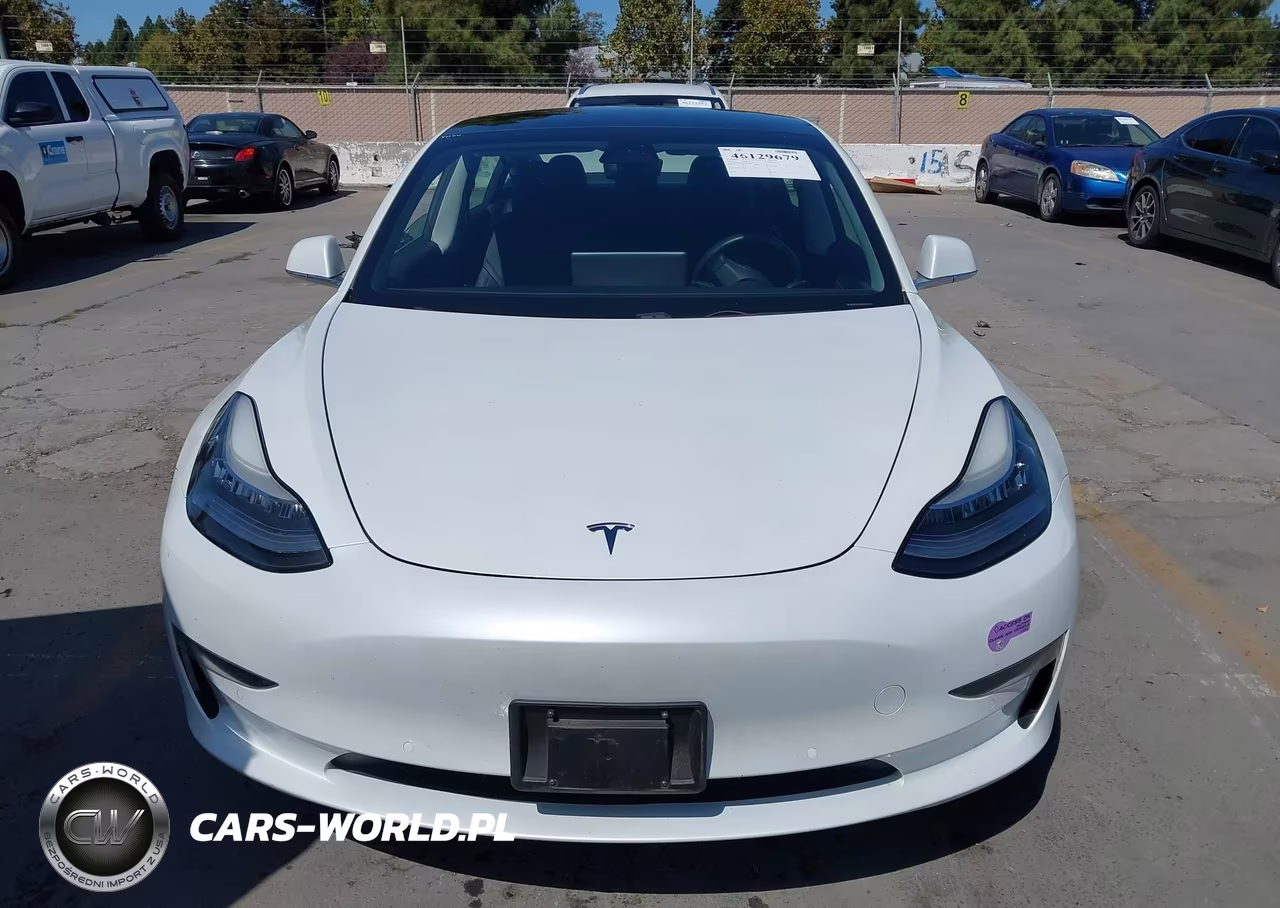 2019 Tesla Model 3 Long Range-Mid Range-Standard Range-Standard Range Plus VIN:5YJ3E1EA3KF434522 - 12
