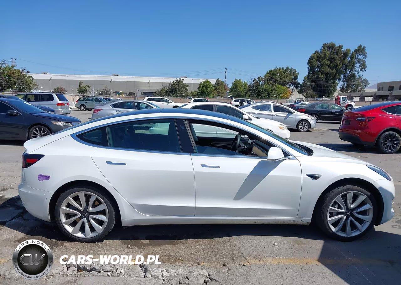 2019 Tesla Model 3 Long Range-Mid Range-Standard Range-Standard Range Plus VIN:5YJ3E1EA3KF434522 - 13