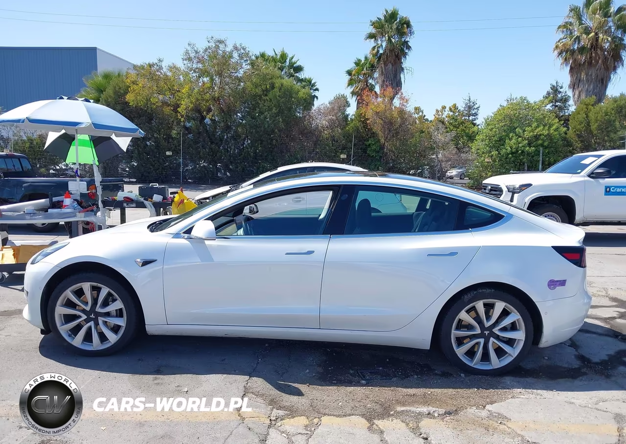 2019 Tesla Model 3 Long Range-Mid Range-Standard Range-Standard Range Plus VIN:5YJ3E1EA3KF434522 - 14