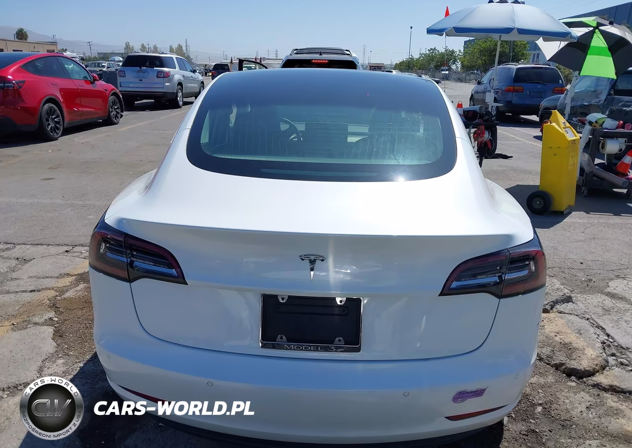 2019 Tesla Model 3 Long Range-Mid Range-Standard Range-Standard Range Plus VIN:5YJ3E1EA3KF434522 - 16