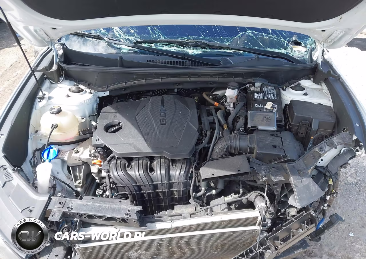 2024 Hyundai Tucson Limited VIN:5NMJECDE0RH351517 - 10