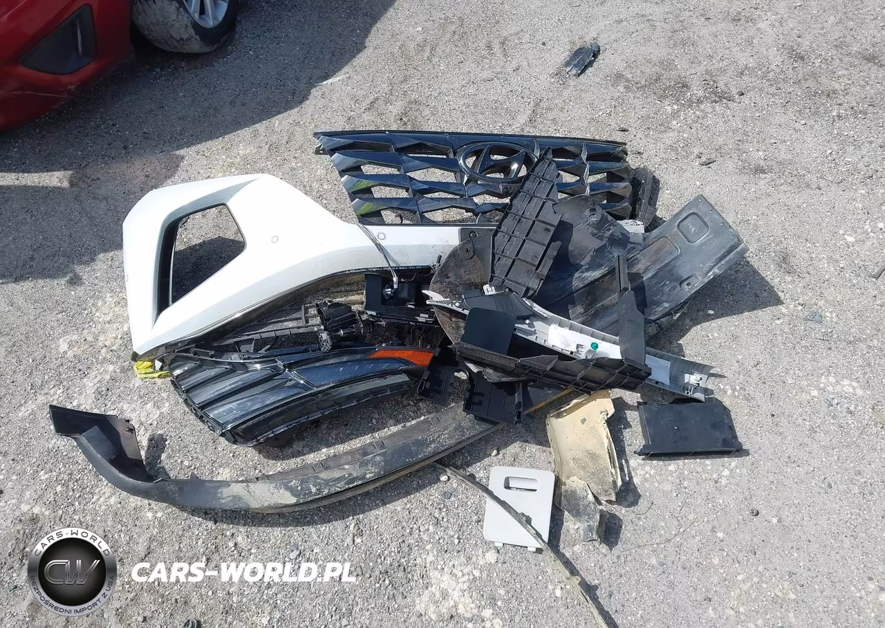 2024 Hyundai Tucson Limited VIN:5NMJECDE0RH351517 - 12