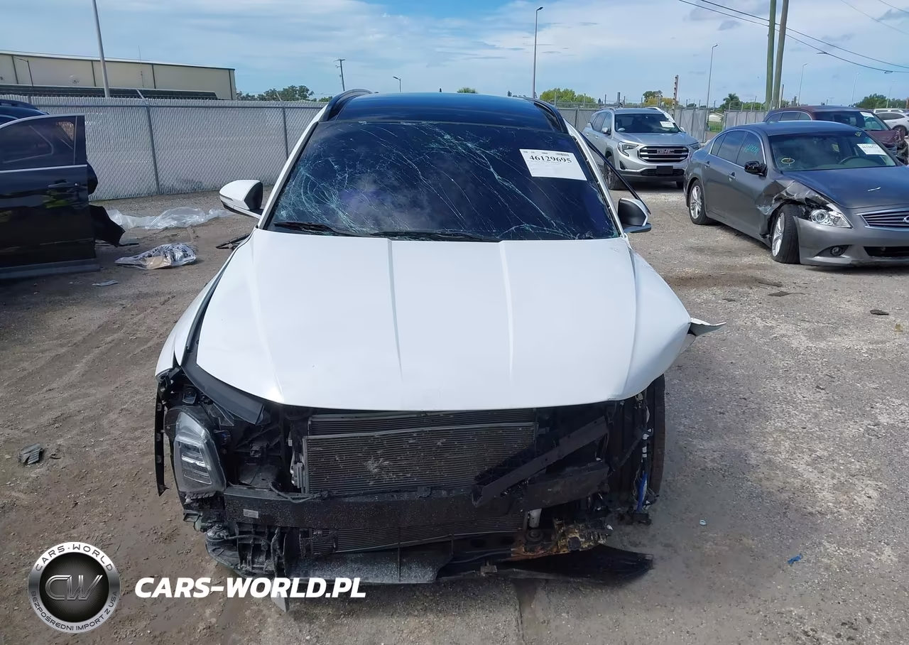 2024 Hyundai Tucson Limited VIN:5NMJECDE0RH351517 - 13