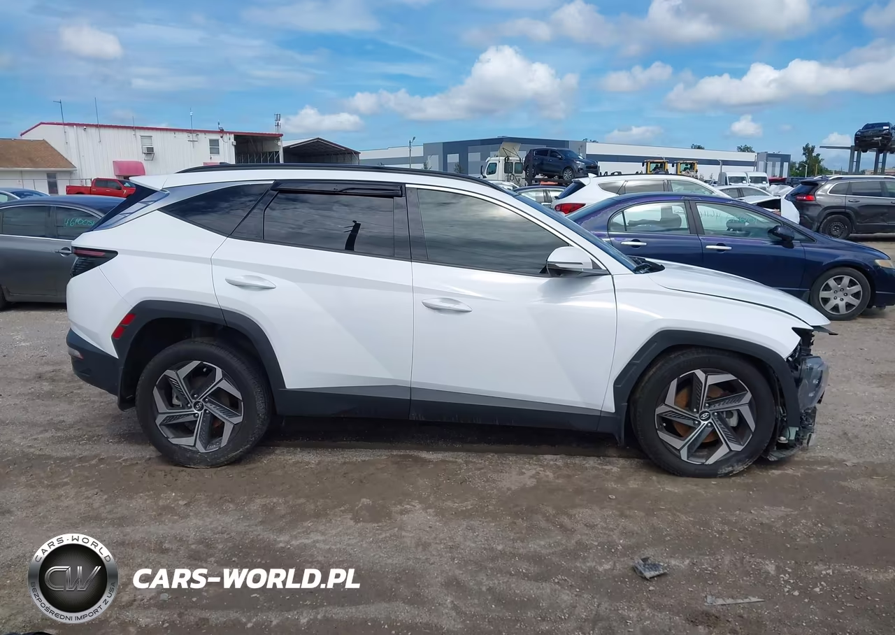 2024 Hyundai Tucson Limited VIN:5NMJECDE0RH351517 - 14