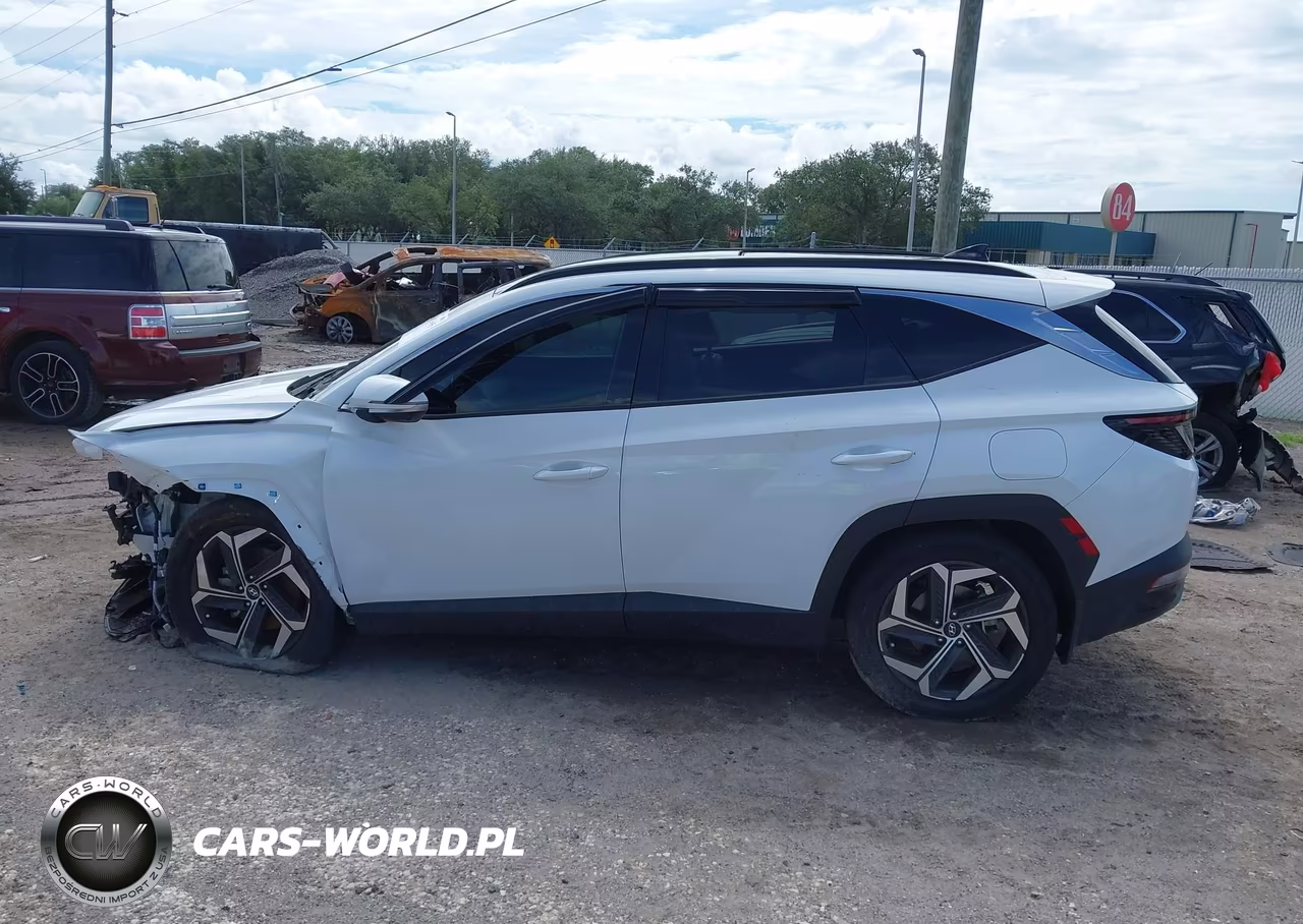 2024 Hyundai Tucson Limited VIN:5NMJECDE0RH351517 - 15