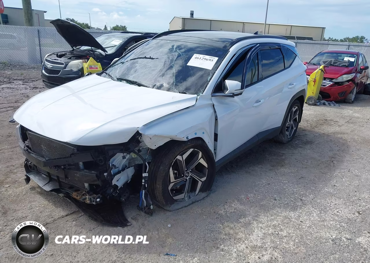 2024 Hyundai Tucson Limited VIN:5NMJECDE0RH351517 - 2