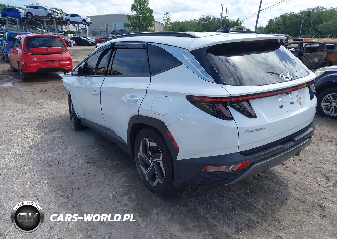 2024 Hyundai Tucson Limited VIN:5NMJECDE0RH351517 - 3