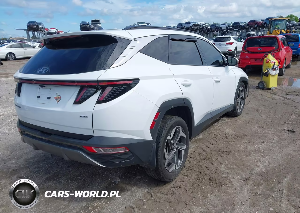 2024 Hyundai Tucson Limited VIN:5NMJECDE0RH351517 - 4