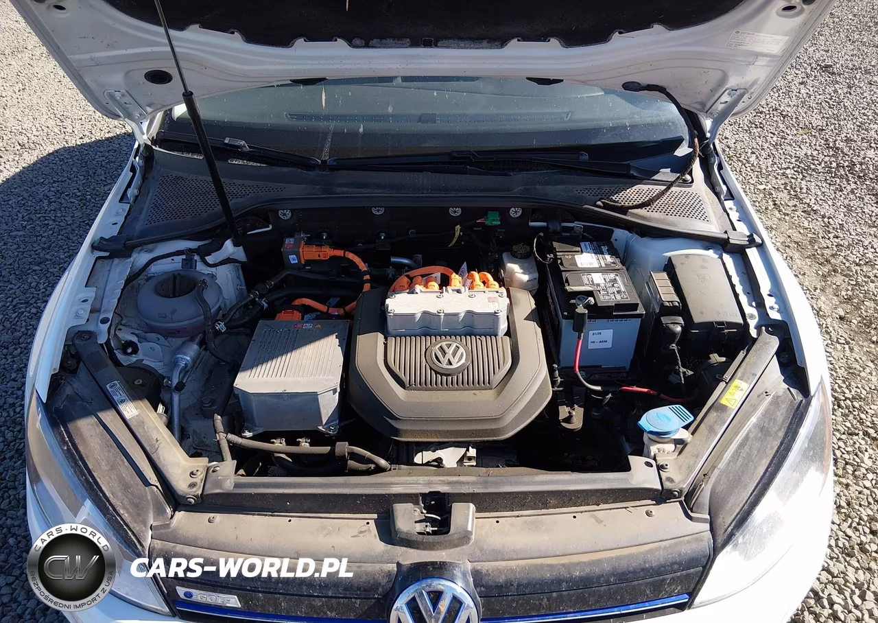 2016 Volkswagen E-Golf Se VIN:WVWKP7AU6GW913559 - 10