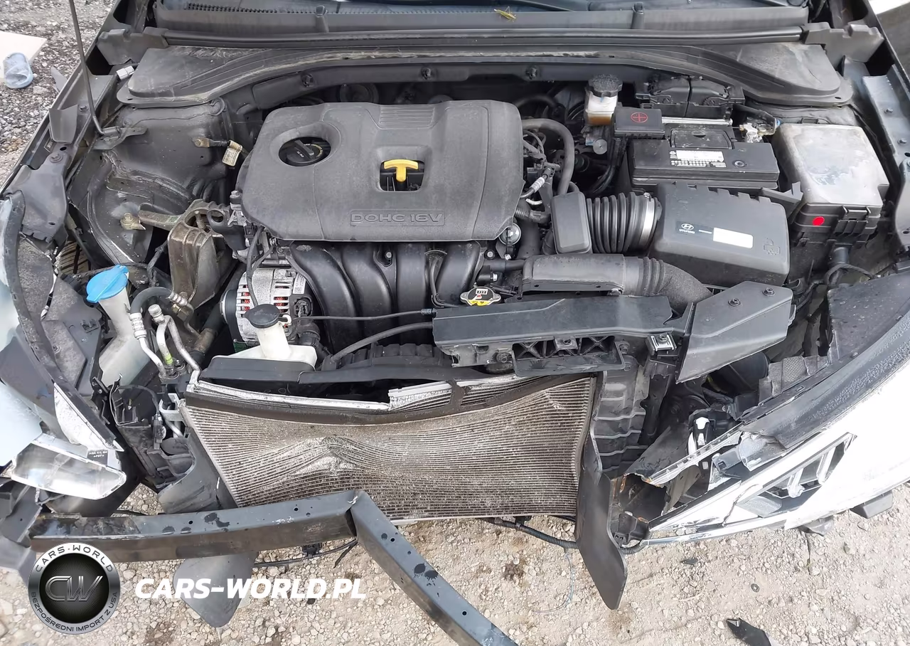 2019 Hyundai Elantra Sel VIN:5NPD84LF4KH428550 - 10