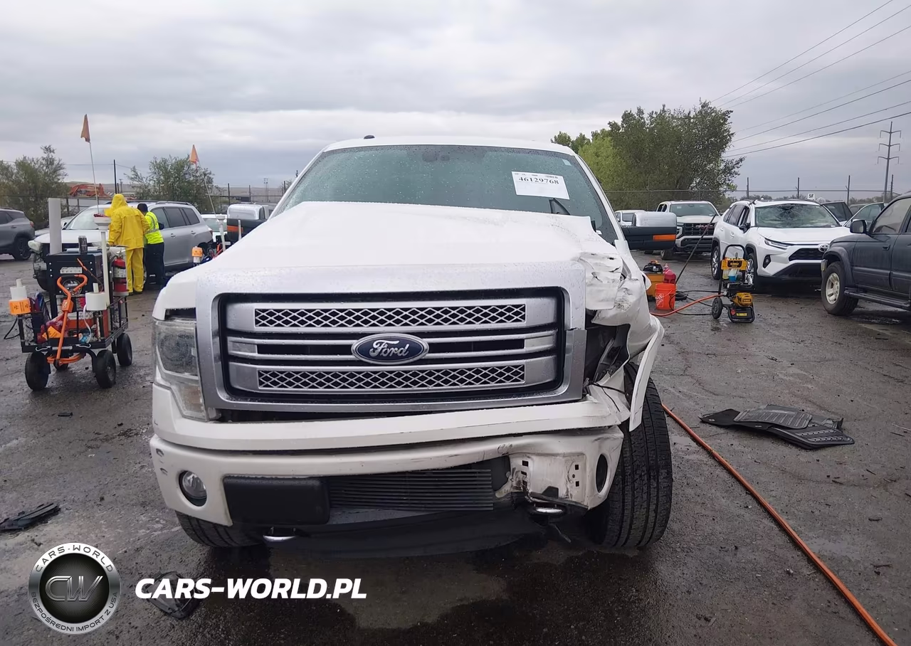 2013 Ford F-150 Platinum VIN:1FTFW1ET4DFD48422 - 12