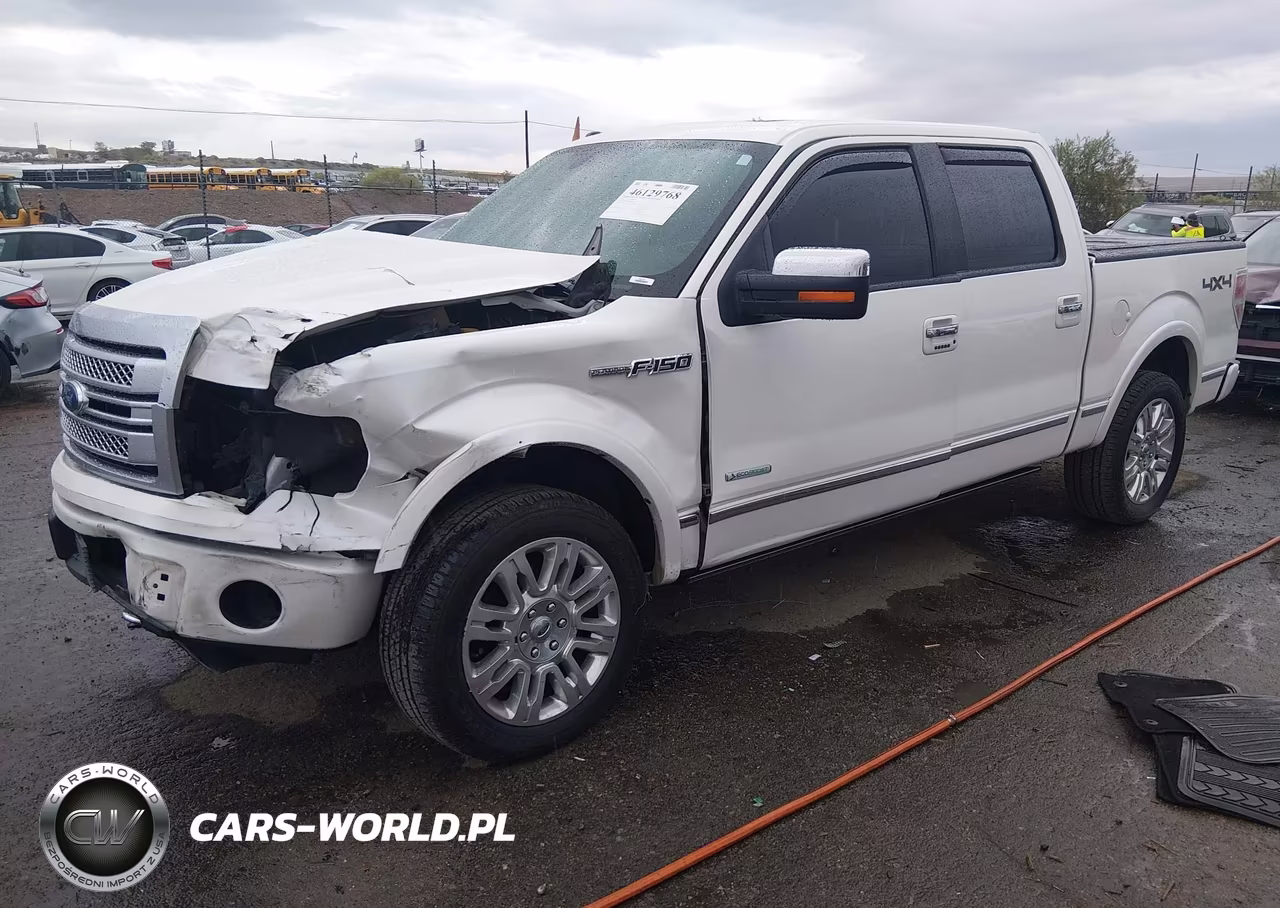 2013 Ford F-150 Platinum VIN:1FTFW1ET4DFD48422 - 2