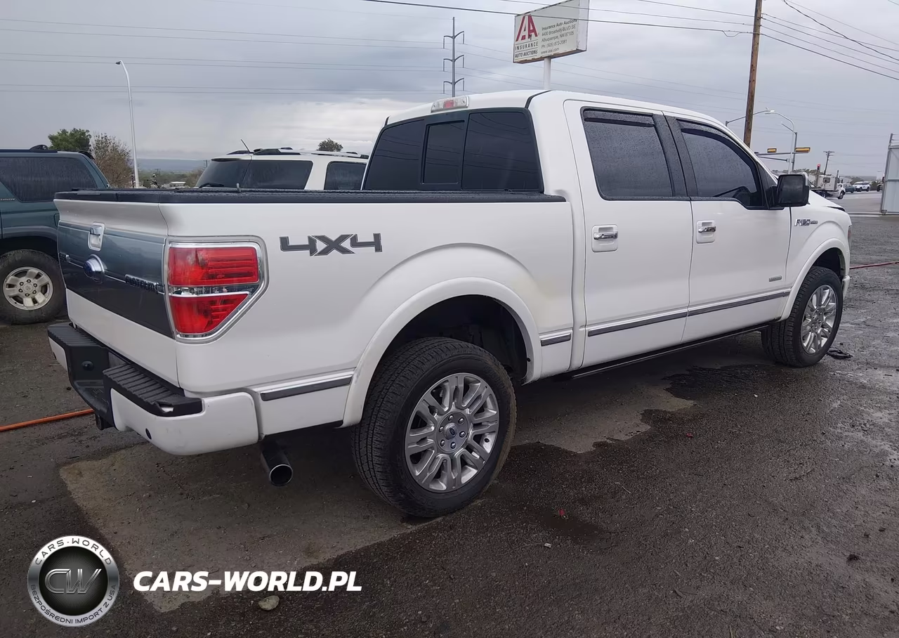 2013 Ford F-150 Platinum VIN:1FTFW1ET4DFD48422 - 4