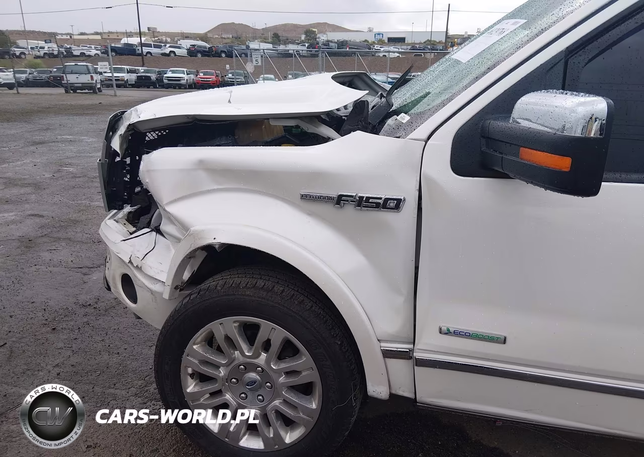 2013 Ford F-150 Platinum VIN:1FTFW1ET4DFD48422 - 6