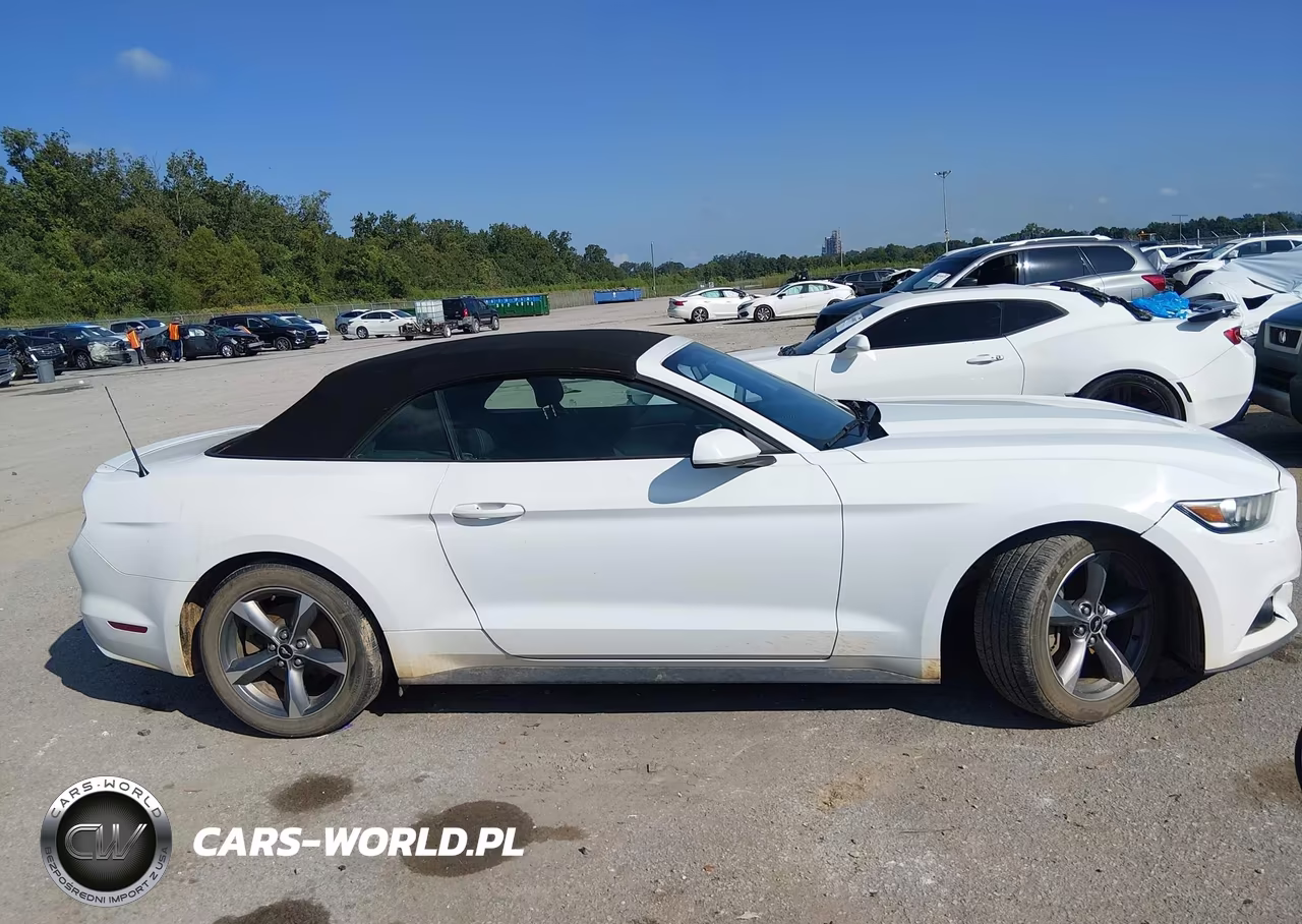 2015 Ford Mustang V6 VIN:1FATP8EM3F5330851 - 13