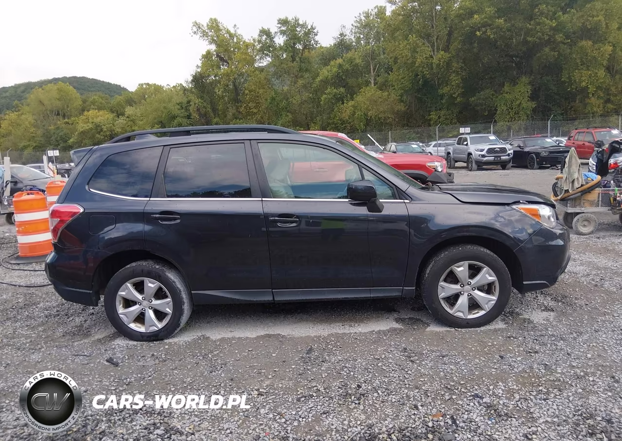 2016 Subaru Forester 2.5I Limited VIN:JF2SJAHC3GH415997 - 13