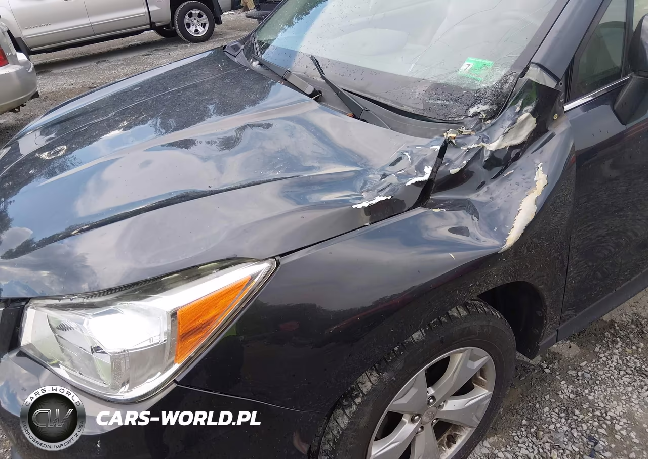2016 Subaru Forester 2.5I Limited VIN:JF2SJAHC3GH415997 - 17