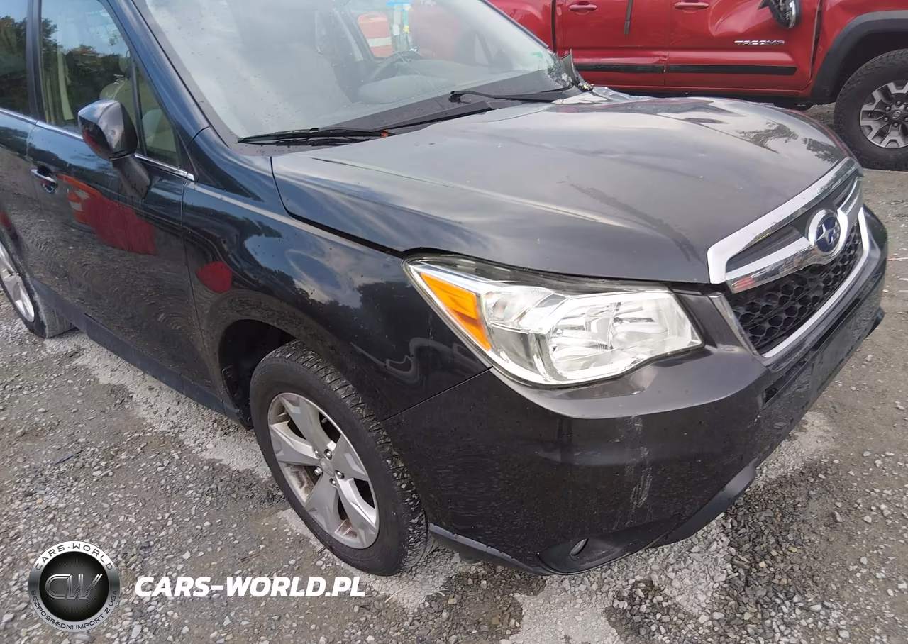 2016 Subaru Forester 2.5I Limited VIN:JF2SJAHC3GH415997 - 19