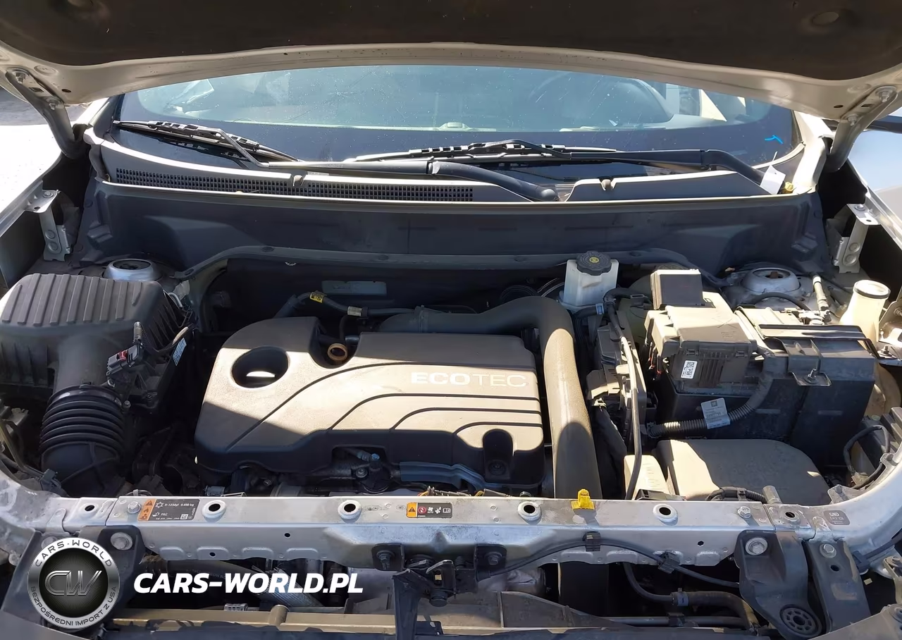 2019 Chevrolet Equinox Lt VIN:2GNAXJEV7K6248757 - 10