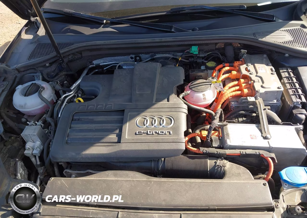 2017 Audi A3 E-Tron 1.4T Premium VIN:WAUTPBFF2HA134222 - 10