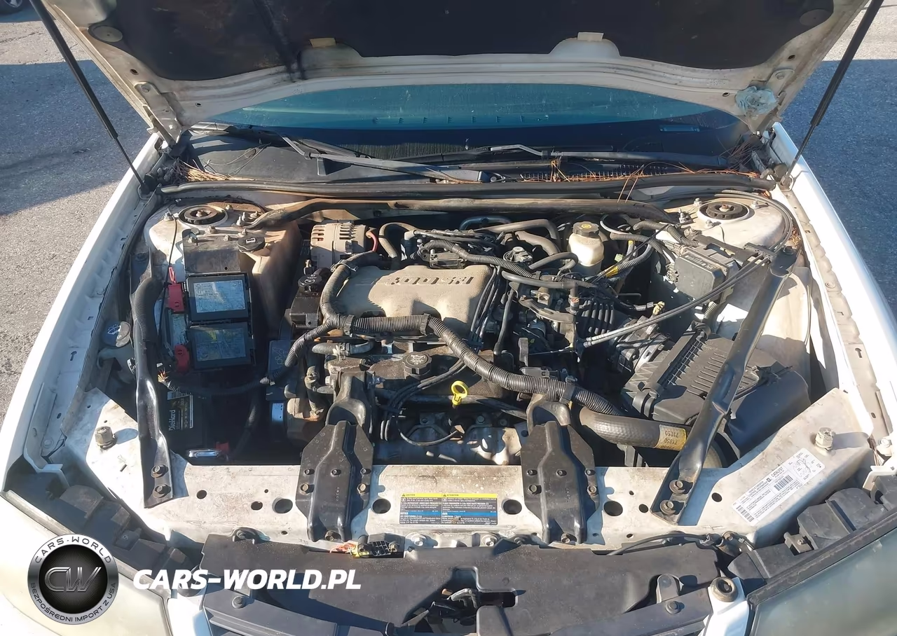2003 Chevrolet Impala VIN:2G1WF52E839366189 - 10