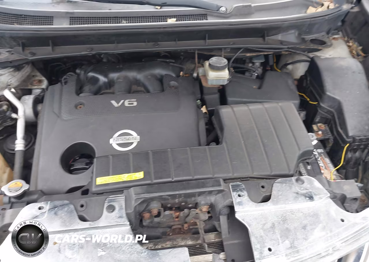 2009 Nissan Murano Sl VIN:JN8AZ18W99W105725 - 10